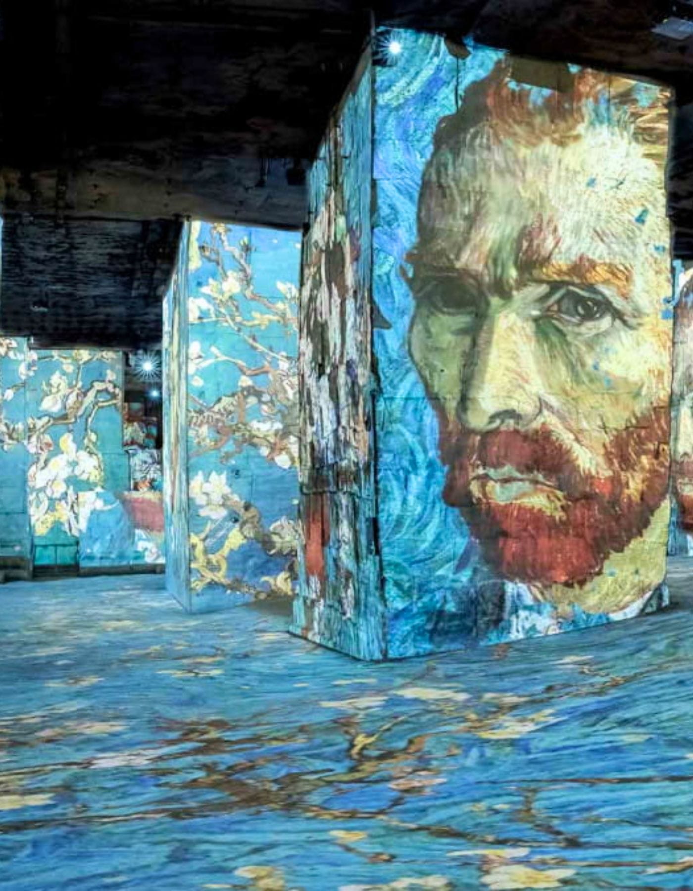 Villa-proche-des-Carrieres-des-Lumieres-1